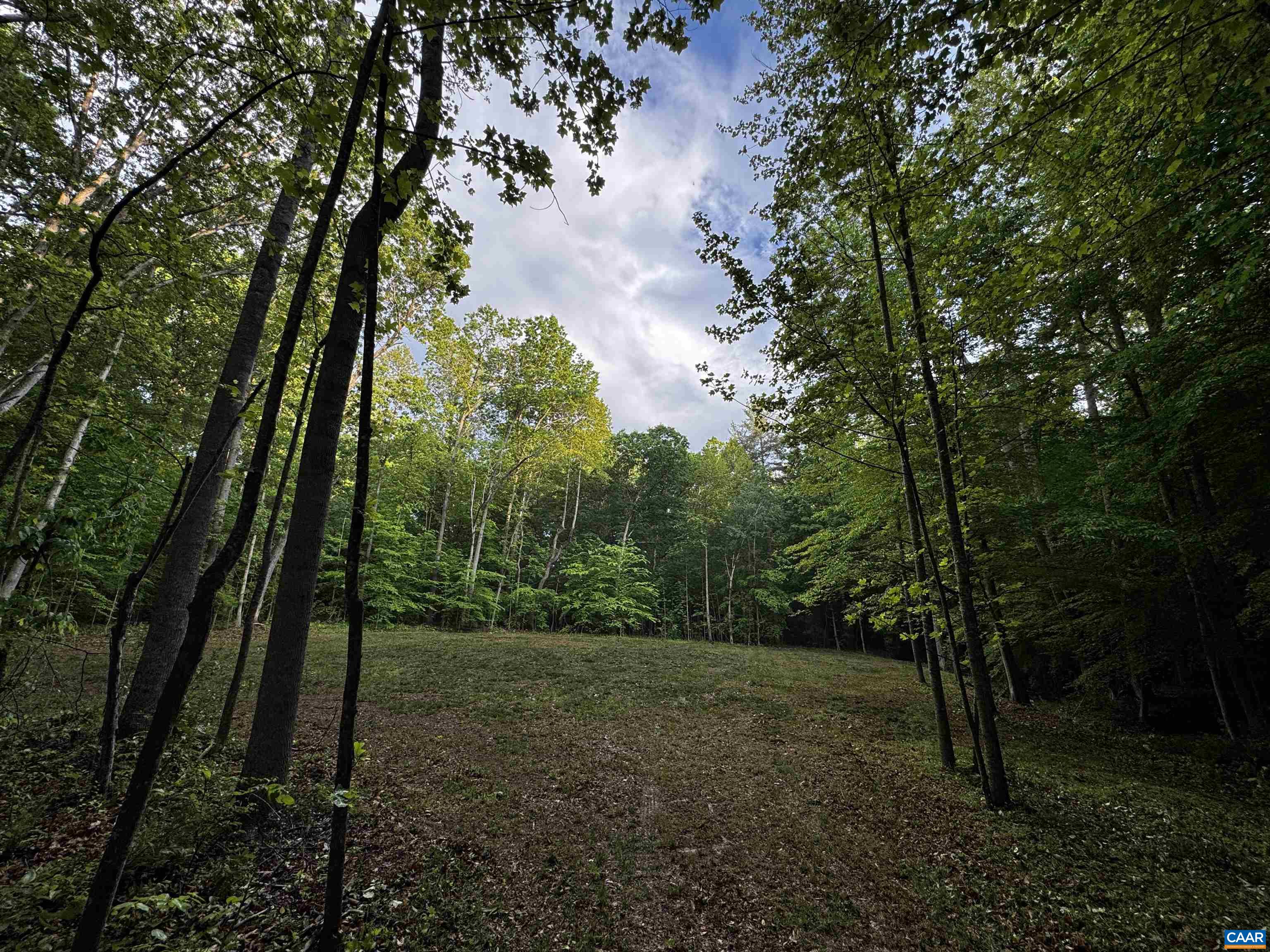 0 FREDERICKSBURG RD, RUCKERSVILLE, Virginia 22968, ,Land,0 FREDERICKSBURG RD,678828 MLS # 678828