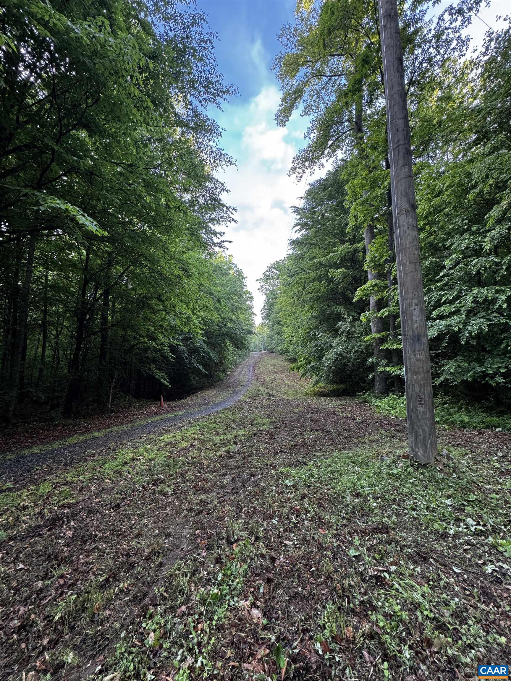 0 FREDERICKSBURG RD, RUCKERSVILLE, Virginia 22968, ,Land,0 FREDERICKSBURG RD,678828 MLS # 678828