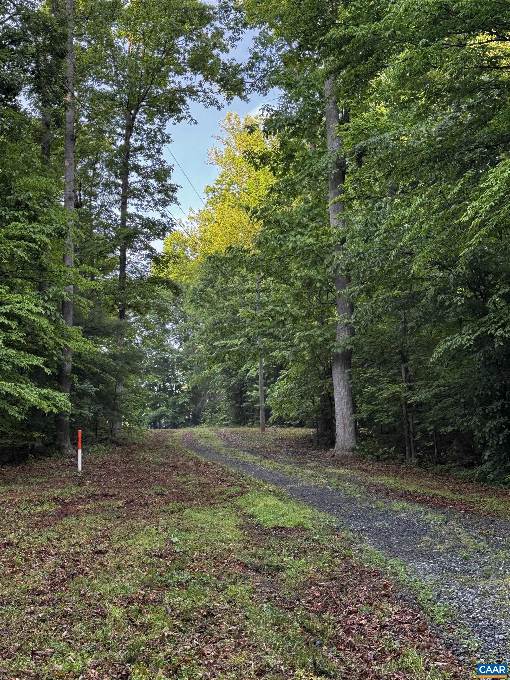 0 FREDERICKSBURG RD, RUCKERSVILLE, Virginia 22968, ,Land,0 FREDERICKSBURG RD,678828 MLS # 678828