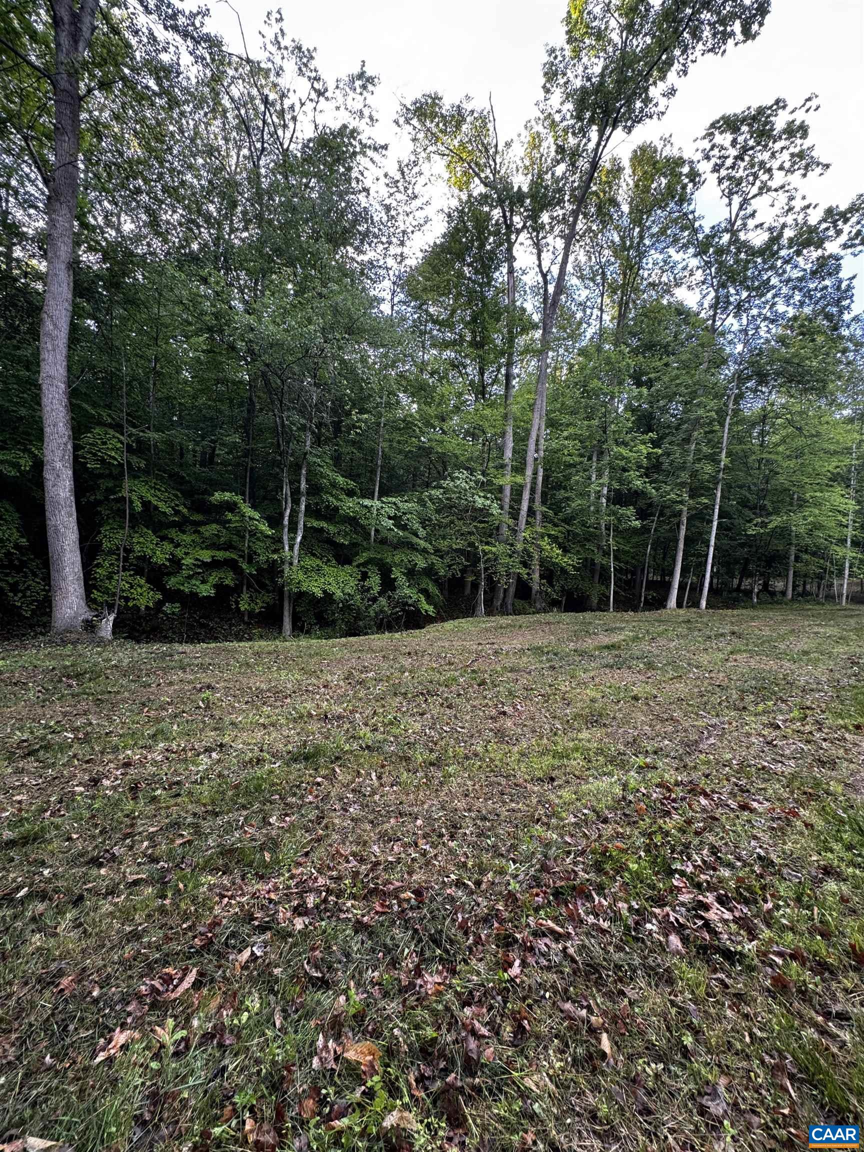 0 FREDERICKSBURG RD, RUCKERSVILLE, Virginia 22968, ,Land,0 FREDERICKSBURG RD,678828 MLS # 678828
