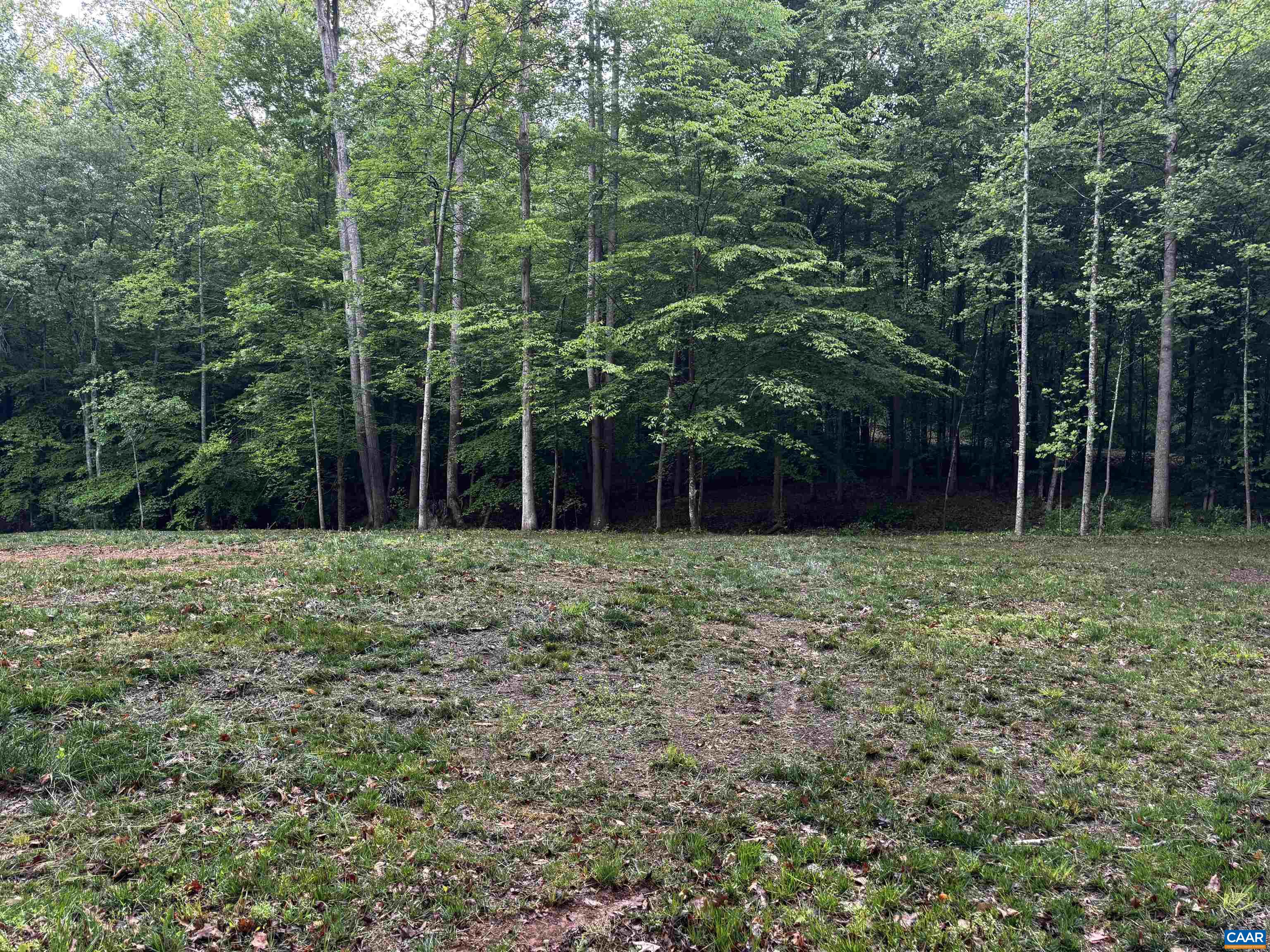 0 FREDERICKSBURG RD, RUCKERSVILLE, Virginia 22968, ,Land,0 FREDERICKSBURG RD,678828 MLS # 678828