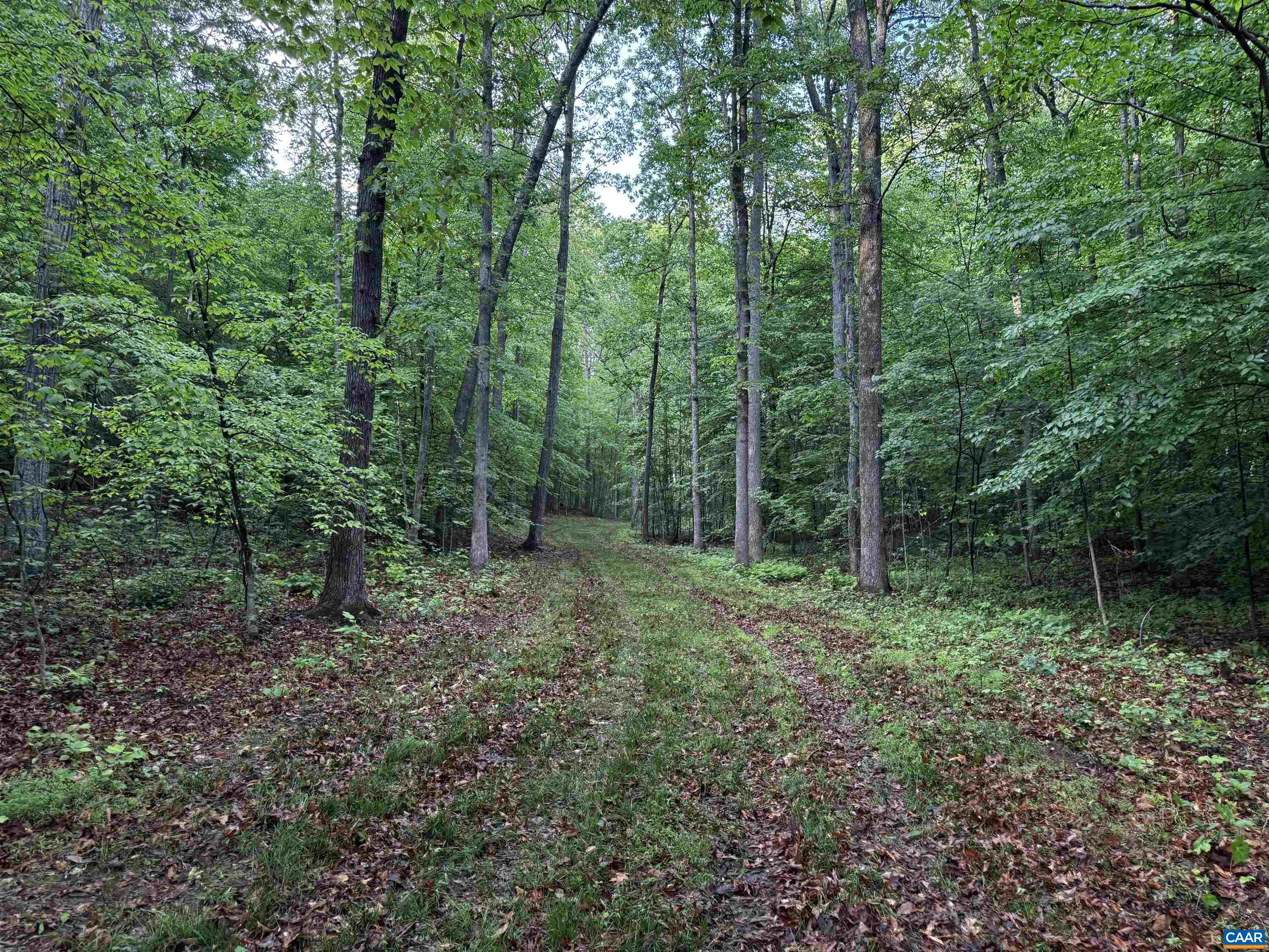 0 FREDERICKSBURG RD, RUCKERSVILLE, Virginia 22968, ,Land,0 FREDERICKSBURG RD,678828 MLS # 678828