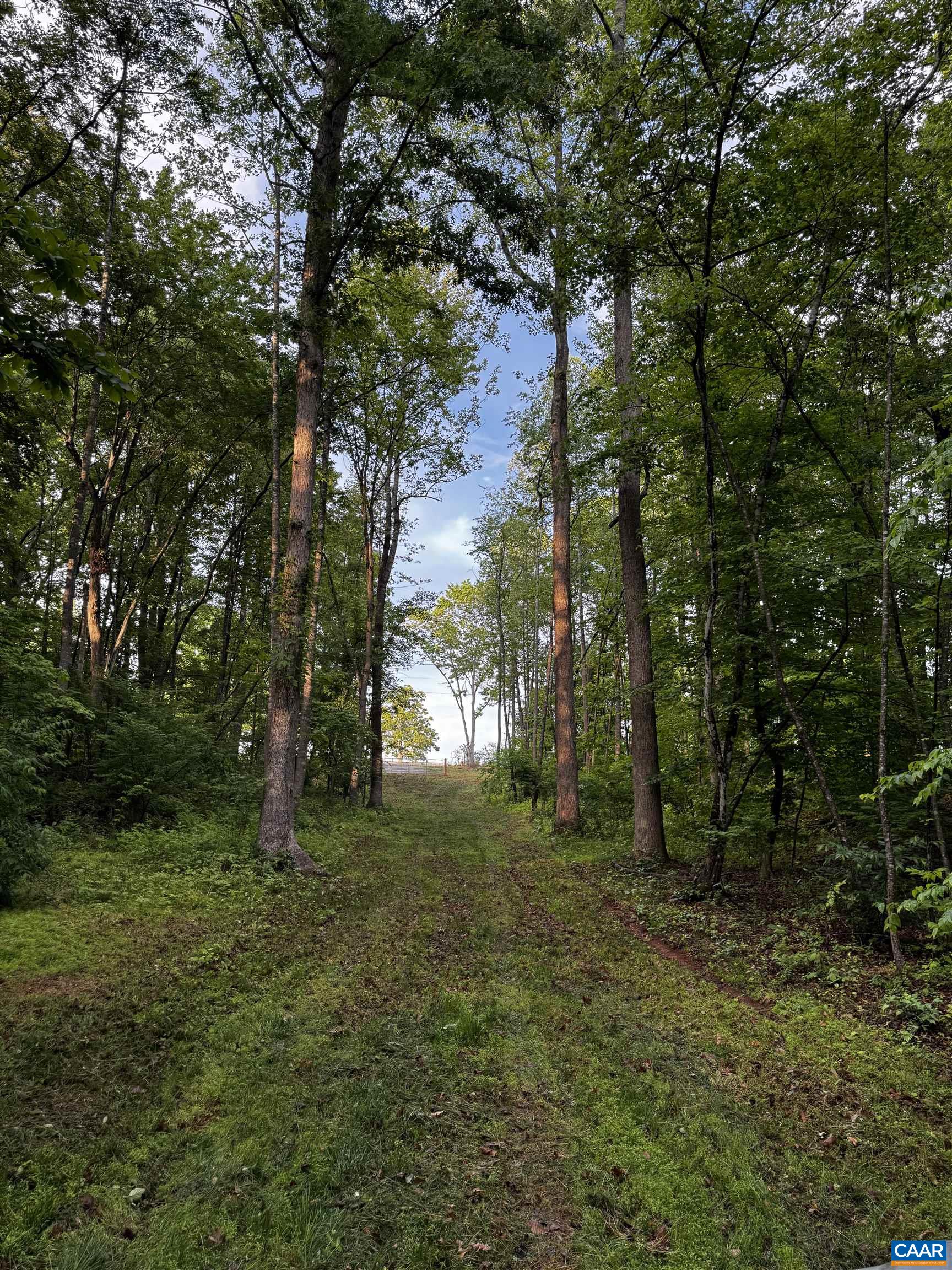 0 FREDERICKSBURG RD, RUCKERSVILLE, Virginia 22968, ,Land,0 FREDERICKSBURG RD,678828 MLS # 678828
