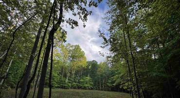 0 FREDERICKSBURG RD, RUCKERSVILLE, Virginia 22968, ,Land,0 FREDERICKSBURG RD,678828 MLS # 678828