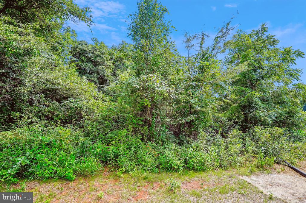 RYLAND CHAPEL RD, RIXEYVILLE, Virginia 22737, 4 Bedrooms Bedrooms, ,2 BathroomsBathrooms,Residential,NONE AVAILABLE,RYLAND CHAPEL RD,VACU2014172 MLS # VACU2014172