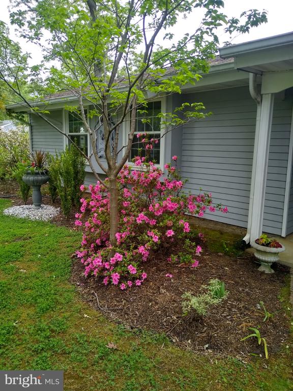 8 POND CIR, FREDERICKSBURG, Virginia 22407, 4 Bedrooms Bedrooms, ,2 BathroomsBathrooms,Residential,BREEZEWOOD,8 POND CIR,VASP2043234 MLS # VASP2043234