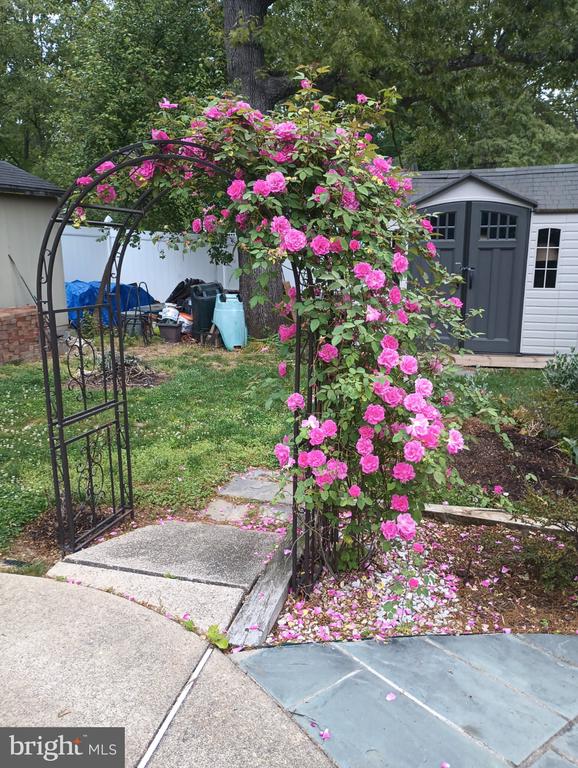 8 POND CIR, FREDERICKSBURG, Virginia 22407, 4 Bedrooms Bedrooms, ,2 BathroomsBathrooms,Residential,BREEZEWOOD,8 POND CIR,VASP2043234 MLS # VASP2043234