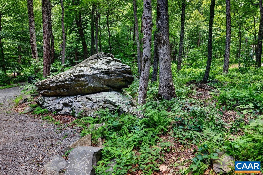 1300 BLUE RIDGE DR, WINTERGREEN RESORT, Virginia 22967, 3 Bedrooms Bedrooms, ,2 BathroomsBathrooms,Residential,1300 BLUE RIDGE DR,678821 MLS # 678821