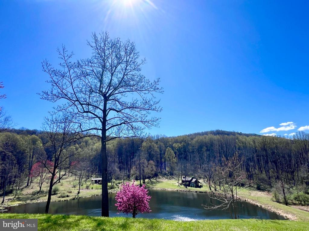 3665 CREELS LN, THE PLAINS, Virginia 20198, 6 Bedrooms Bedrooms, ,6 BathroomsBathrooms,Residential,3665 CREELS LN,VAFQ2021256 MLS # VAFQ2021256