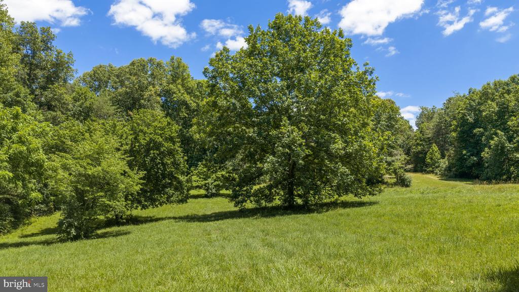 9083 CAYNOR PL, CULPEPER, Virginia 22701, 3 Bedrooms Bedrooms, ,2 BathroomsBathrooms,Residential,9083 CAYNOR PL,VACU2014048 MLS # VACU2014048