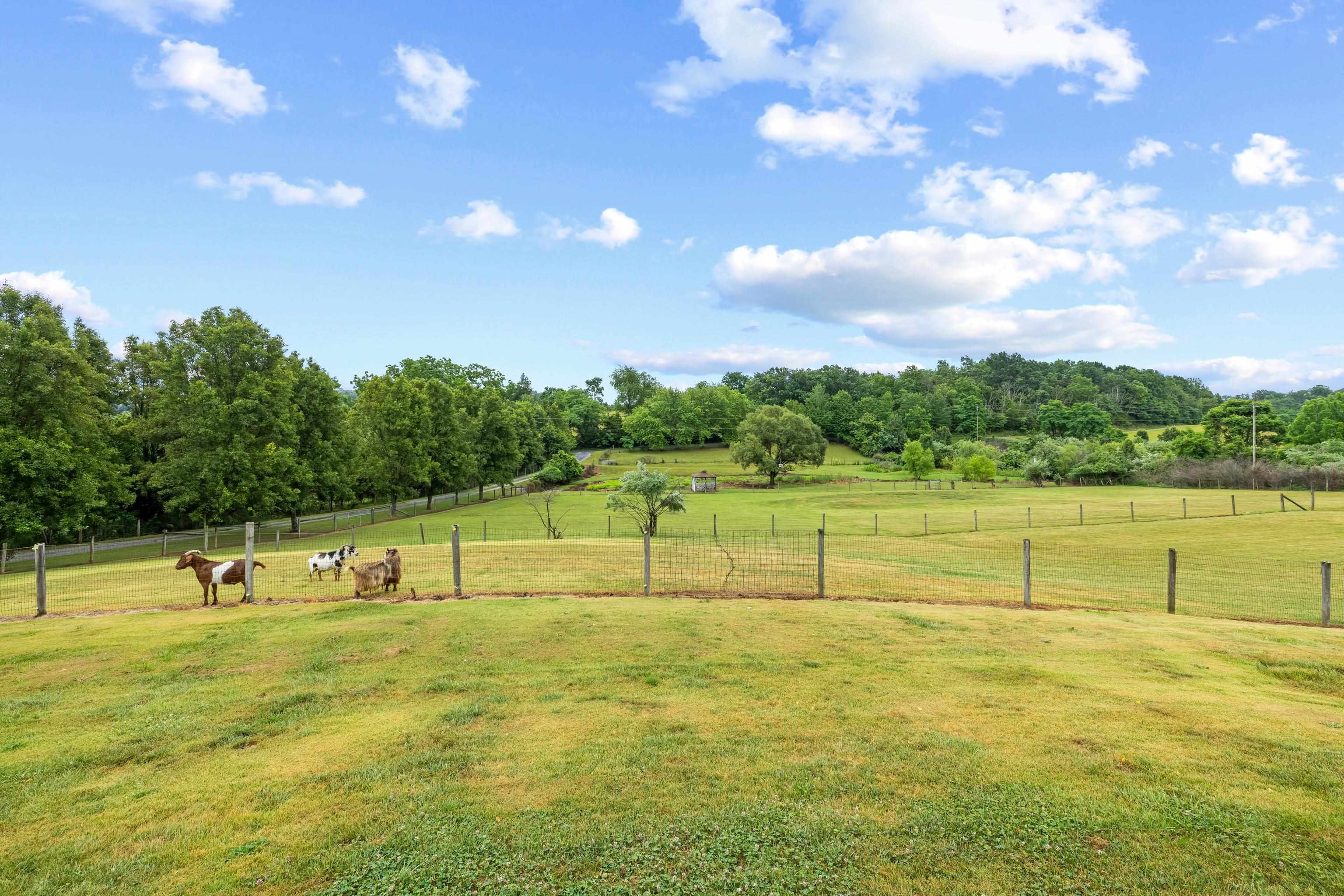 2425 OLD GREENVILLE RD, STAUNTON, Virginia 24401, 3 Bedrooms Bedrooms, ,2 BathroomsBathrooms,Residential,2425 OLD GREENVILLE RD,678837 MLS # 678837