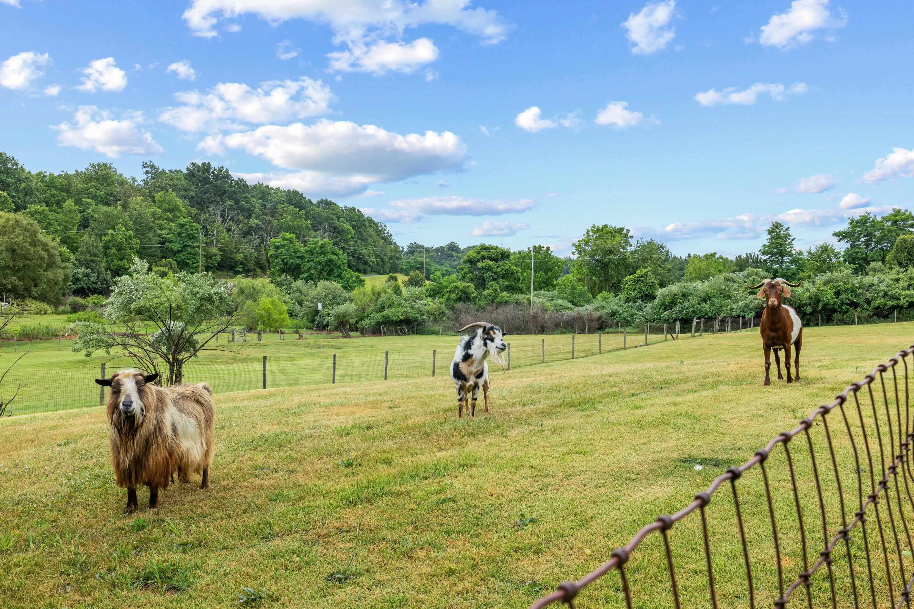 2425 OLD GREENVILLE RD, STAUNTON, Virginia 24401, 3 Bedrooms Bedrooms, ,2 BathroomsBathrooms,Residential,2425 OLD GREENVILLE RD,678837 MLS # 678837