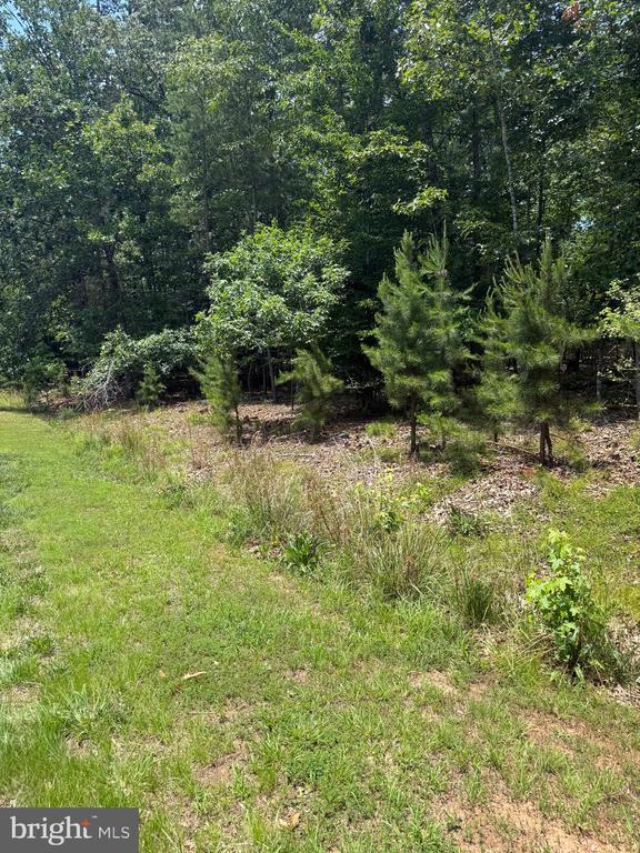 HENSLEY RD, MINERAL, Virginia 23117, ,Land,HENSLEY RD,VALA2010118 MLS # VALA2010118