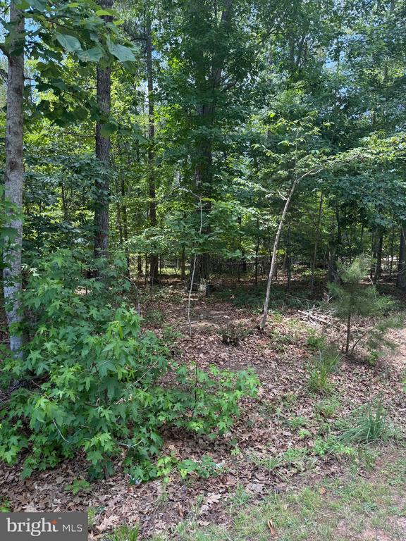 HENSLEY RD, MINERAL, Virginia 23117, ,Land,HENSLEY RD,VALA2010118 MLS # VALA2010118