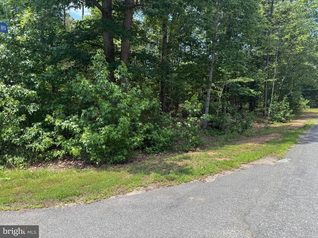 HENSLEY RD, MINERAL, Virginia 23117, ,Land,HENSLEY RD,VALA2010118 MLS # VALA2010118