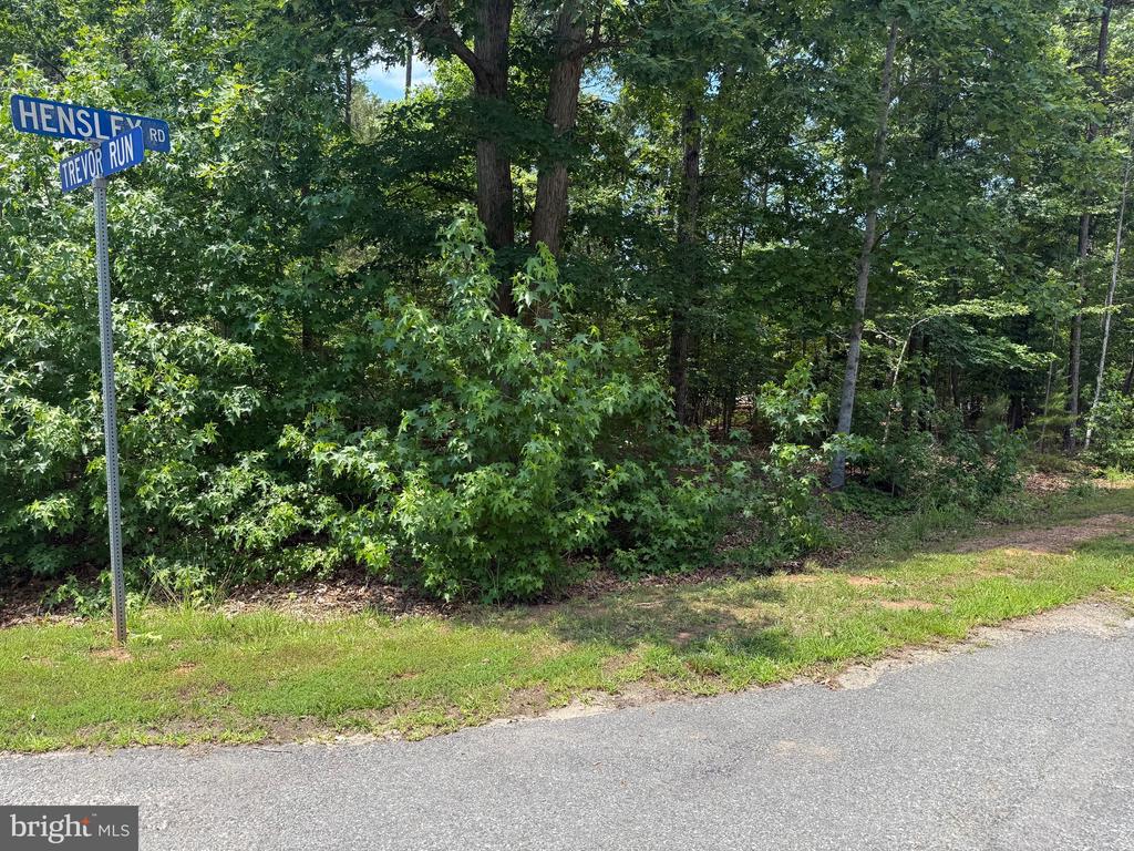 HENSLEY RD, MINERAL, Virginia 23117, ,Land,HENSLEY RD,VALA2010118 MLS # VALA2010118