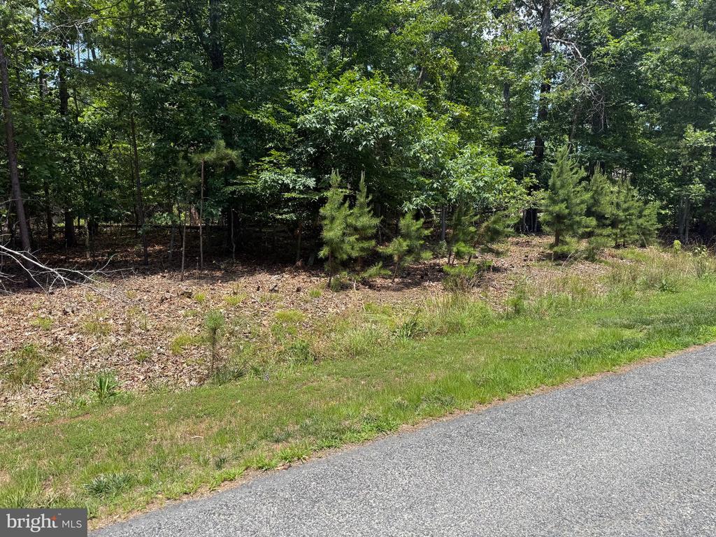 HENSLEY RD, MINERAL, Virginia 23117, ,Land,HENSLEY RD,VALA2010118 MLS # VALA2010118