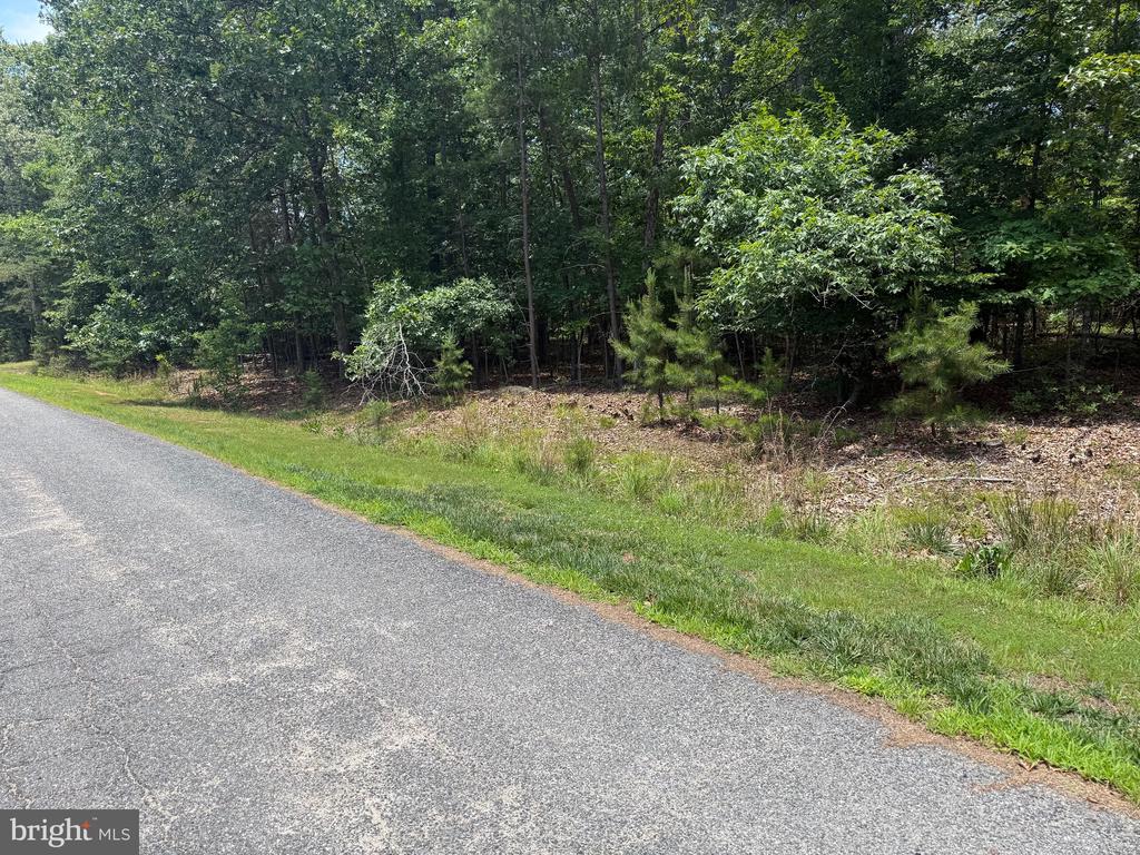 HENSLEY RD, MINERAL, Virginia 23117, ,Land,HENSLEY RD,VALA2010118 MLS # VALA2010118