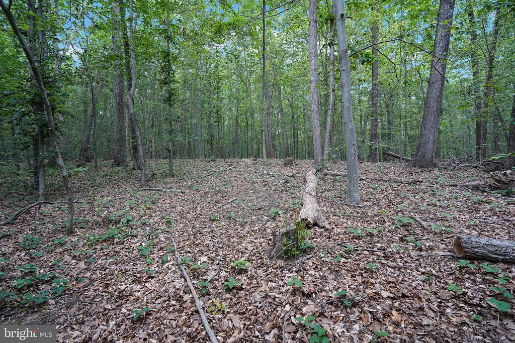 6067 PILGRIMS REST RD, BROAD RUN, Virginia 20137, 3 Bedrooms Bedrooms, ,2 BathroomsBathrooms,Residential,6067 PILGRIMS REST RD,VAFQ2022692 MLS # VAFQ2022692