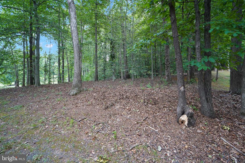 6067 PILGRIMS REST RD, BROAD RUN, Virginia 20137, 3 Bedrooms Bedrooms, ,2 BathroomsBathrooms,Residential,6067 PILGRIMS REST RD,VAFQ2022692 MLS # VAFQ2022692