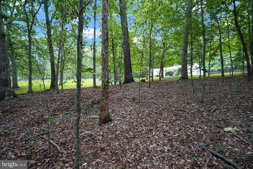 6067 PILGRIMS REST RD, BROAD RUN, Virginia 20137, 3 Bedrooms Bedrooms, ,2 BathroomsBathrooms,Residential,6067 PILGRIMS REST RD,VAFQ2022692 MLS # VAFQ2022692