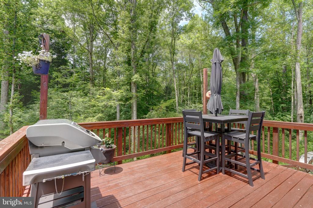 7314 SUGAR HOLLOW RD, ORANGE, Virginia 22960, 3 Bedrooms Bedrooms, ,2 BathroomsBathrooms,Residential,7314 SUGAR HOLLOW RD,VASP2043178 MLS # VASP2043178