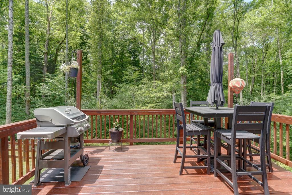 7314 SUGAR HOLLOW RD, ORANGE, Virginia 22960, 3 Bedrooms Bedrooms, ,2 BathroomsBathrooms,Residential,7314 SUGAR HOLLOW RD,VASP2043178 MLS # VASP2043178