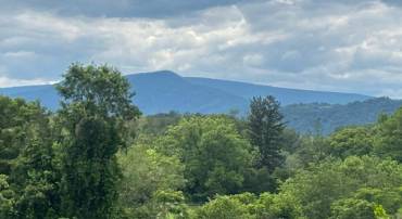 14105 LEE HWY, AMISSVILLE, Virginia 20106, 2 Bedrooms Bedrooms, ,2 BathroomsBathrooms,Residential,14105 LEE HWY,VARP2002722 MLS # VARP2002722