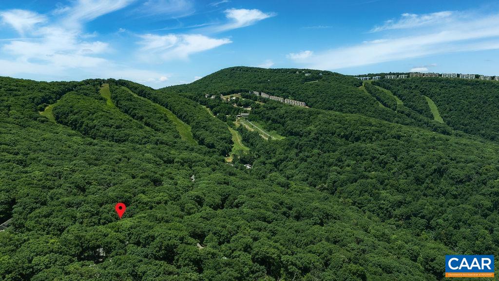 24 PEDLARS PT, WINTERGREEN, Virginia 22967, 4 Bedrooms Bedrooms, ,3 BathroomsBathrooms,Residential,Pedlars Edge 53,24 PEDLARS PT,678844 MLS # 678844
