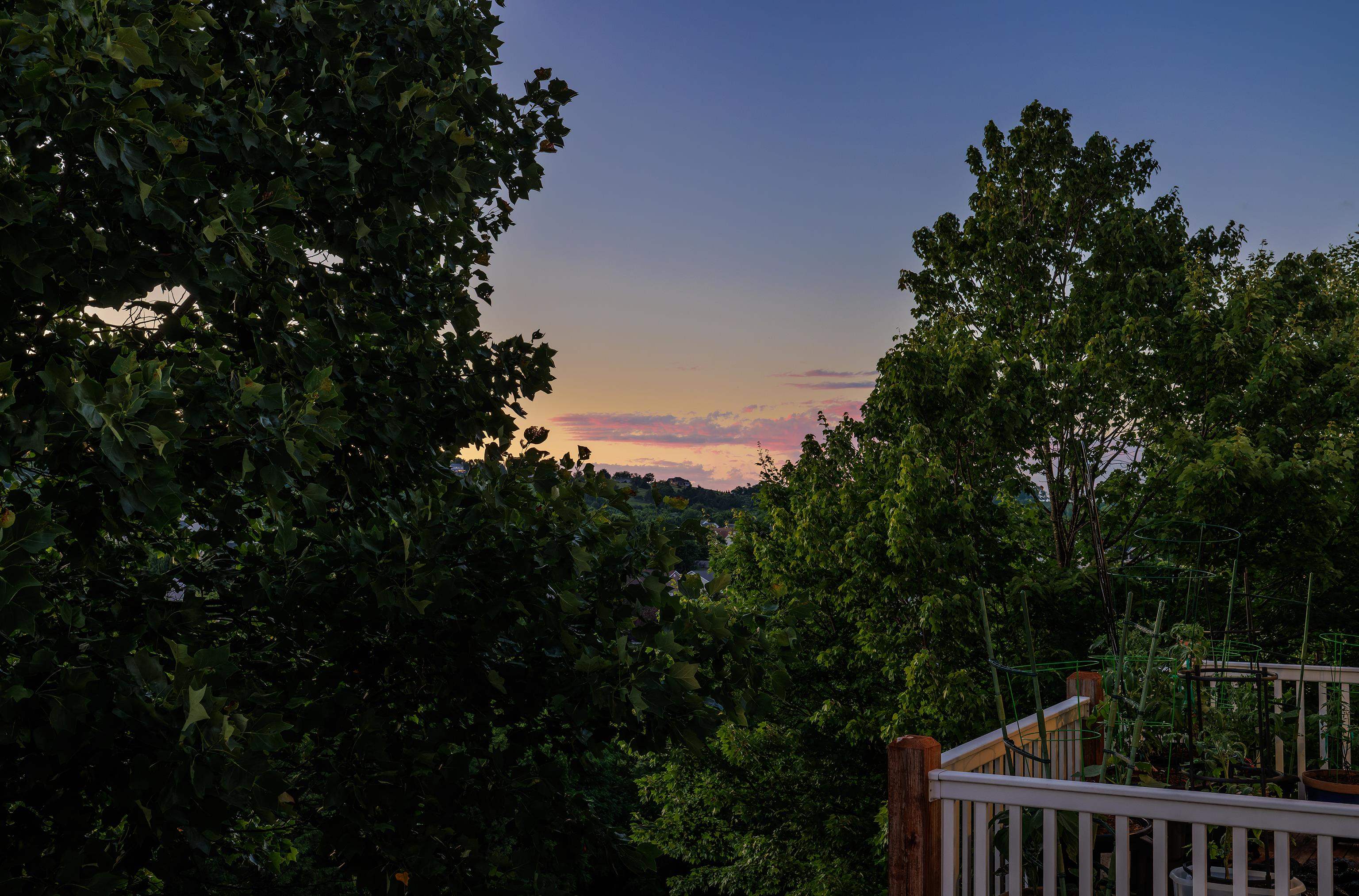 50 ENCHANTED VIEW CIR, FISHERSVILLE, Virginia 22939, 4 Bedrooms Bedrooms, ,3 BathroomsBathrooms,Residential,50 ENCHANTED VIEW CIR,678860 MLS # 678860