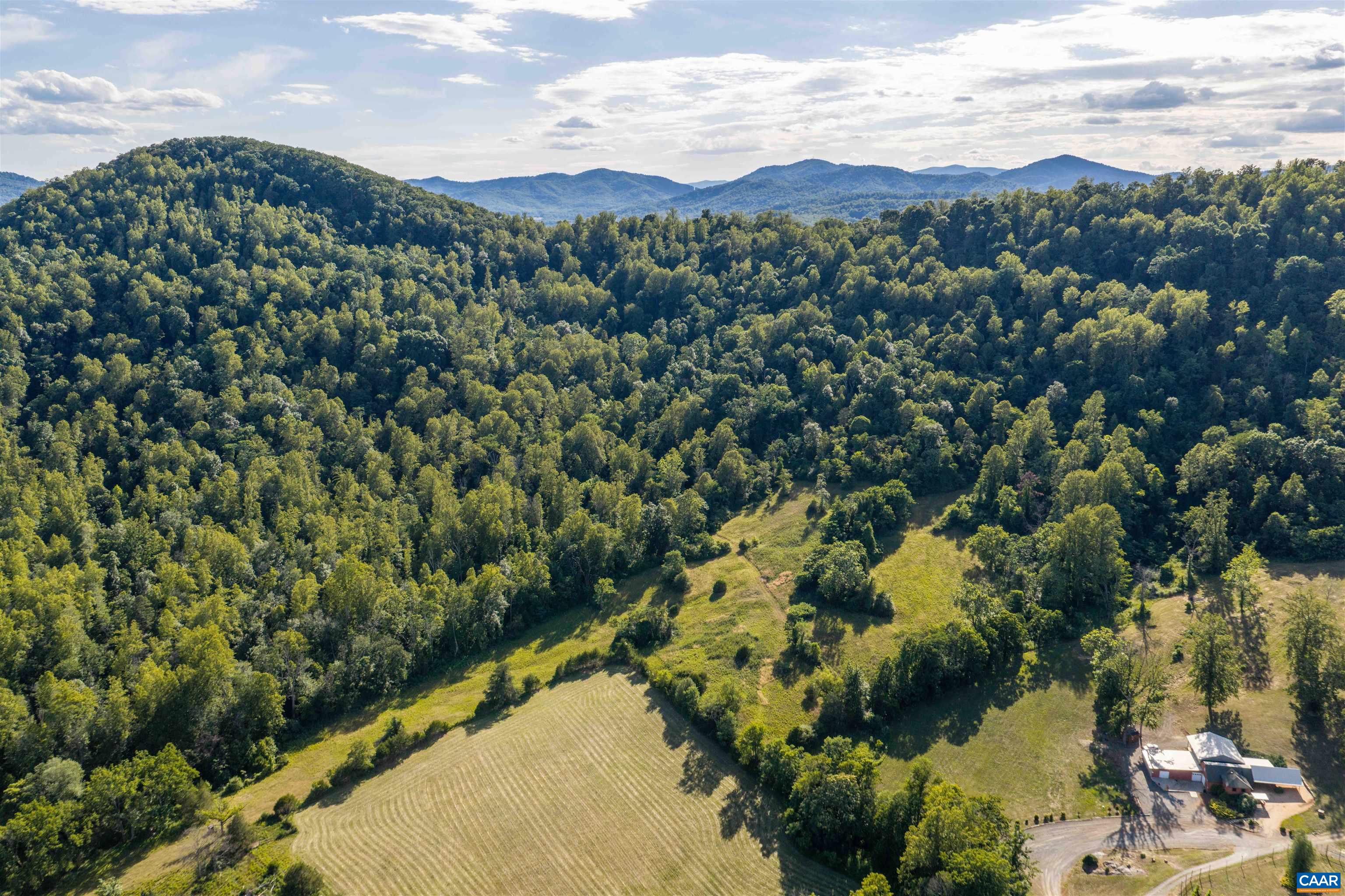 3613 WALNUT BRANCH LN, NORTH GARDEN, Virginia 22959, 1 Bedroom Bedrooms, ,1 BathroomBathrooms,Residential,formally Wisdom Oak Winery,3613 WALNUT BRANCH LN,678864 MLS # 678864