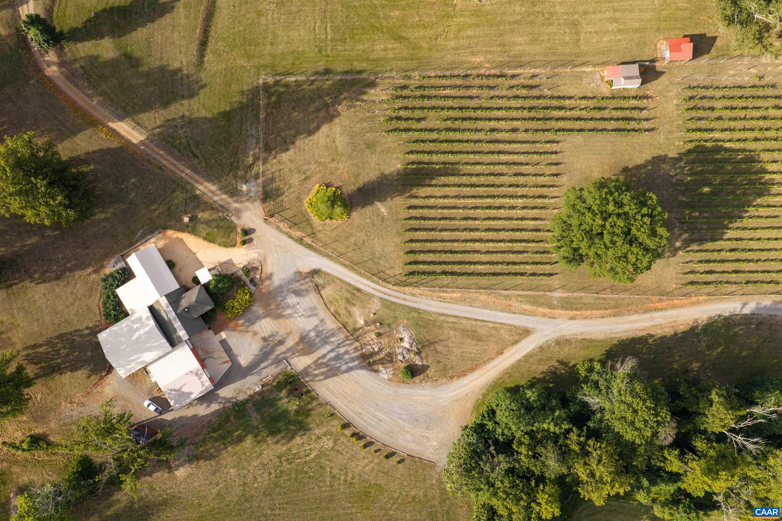 3613 WALNUT BRANCH LN, NORTH GARDEN, Virginia 22959, 1 Bedroom Bedrooms, ,1 BathroomBathrooms,Residential,formally Wisdom Oak Winery,3613 WALNUT BRANCH LN,678864 MLS # 678864