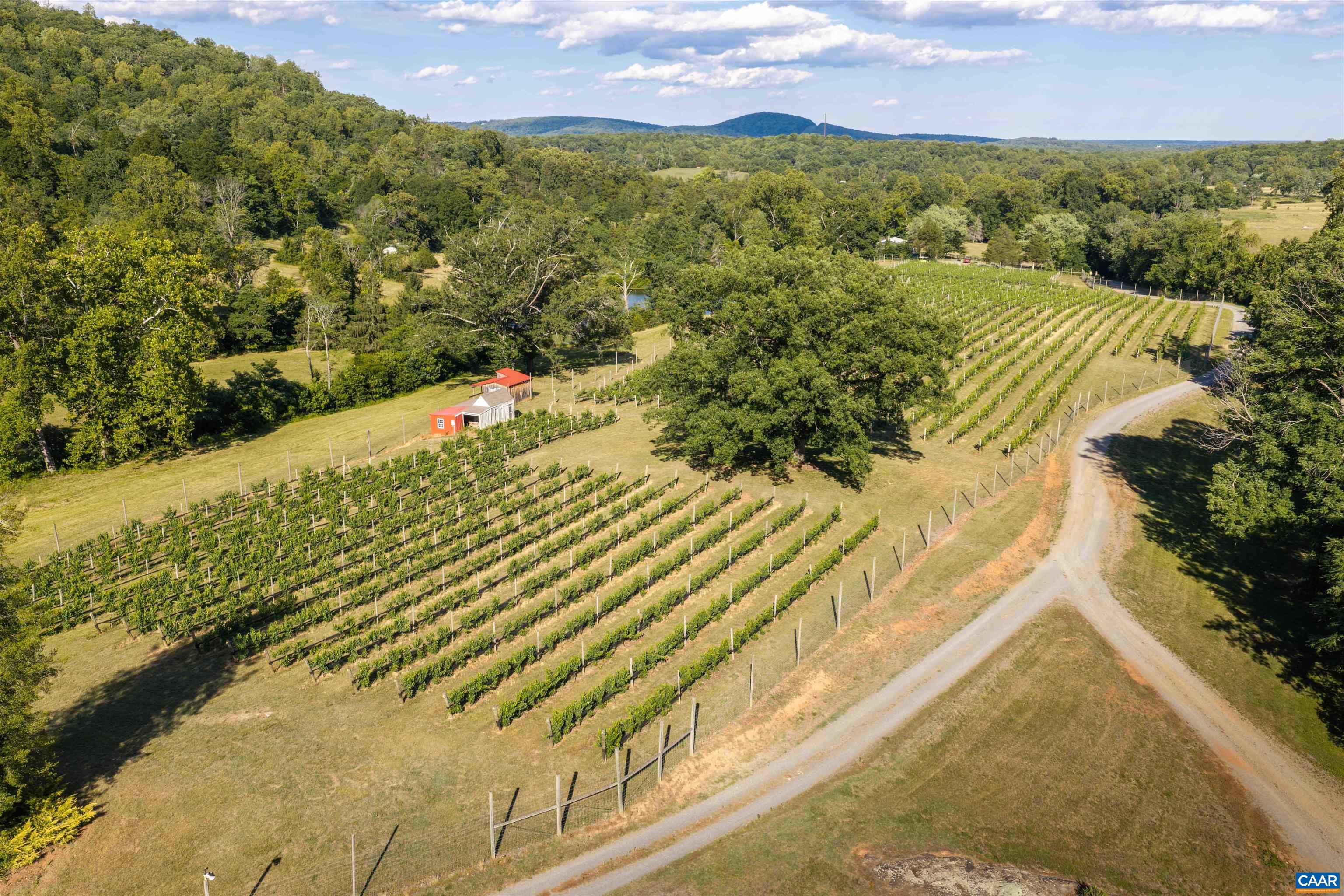 3613 WALNUT BRANCH LN, NORTH GARDEN, Virginia 22959, 1 Bedroom Bedrooms, ,1 BathroomBathrooms,Residential,formally Wisdom Oak Winery,3613 WALNUT BRANCH LN,678864 MLS # 678864