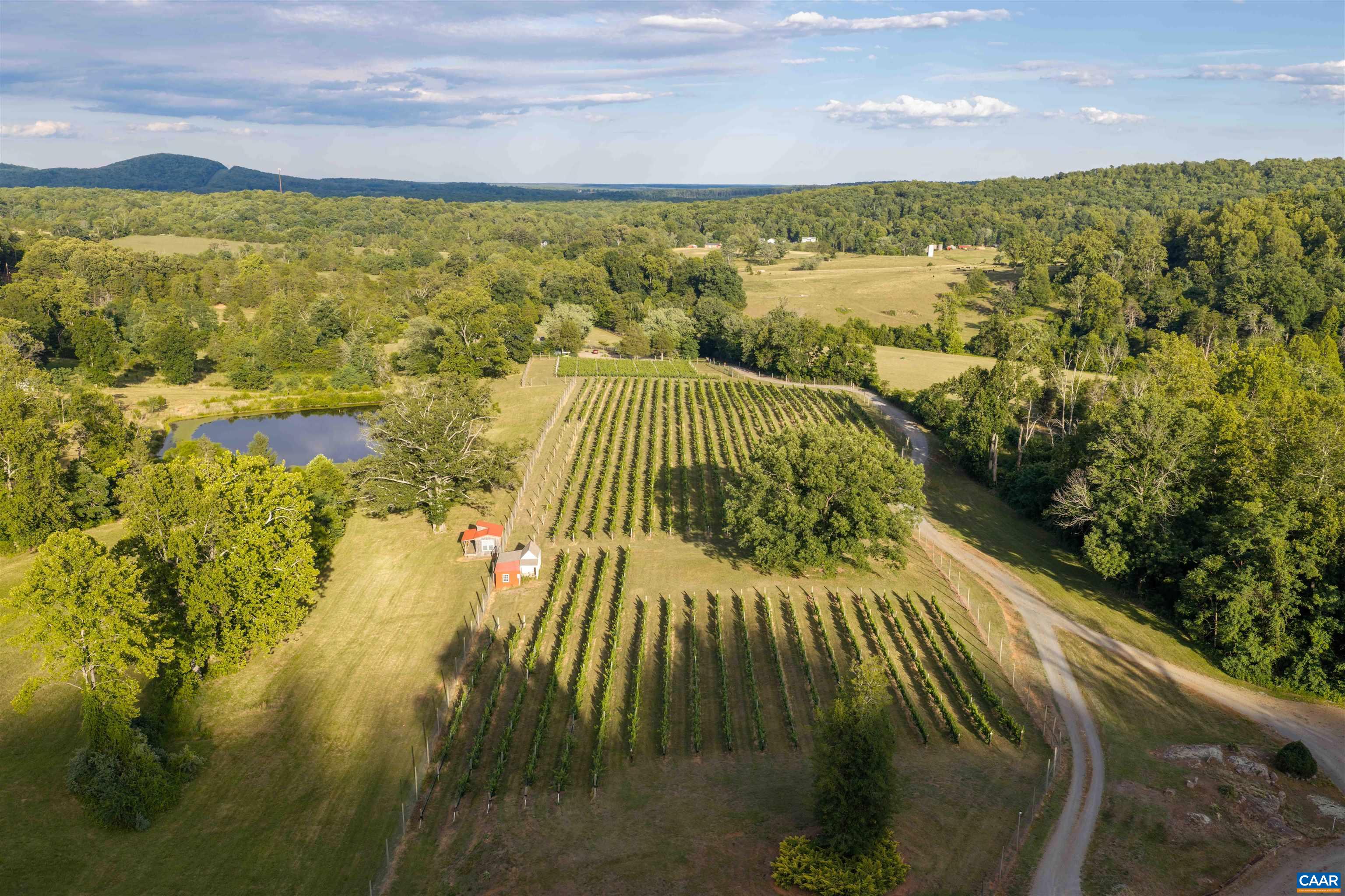 3613 WALNUT BRANCH LN, NORTH GARDEN, Virginia 22959, 1 Bedroom Bedrooms, ,1 BathroomBathrooms,Residential,formally Wisdom Oak Winery,3613 WALNUT BRANCH LN,678864 MLS # 678864