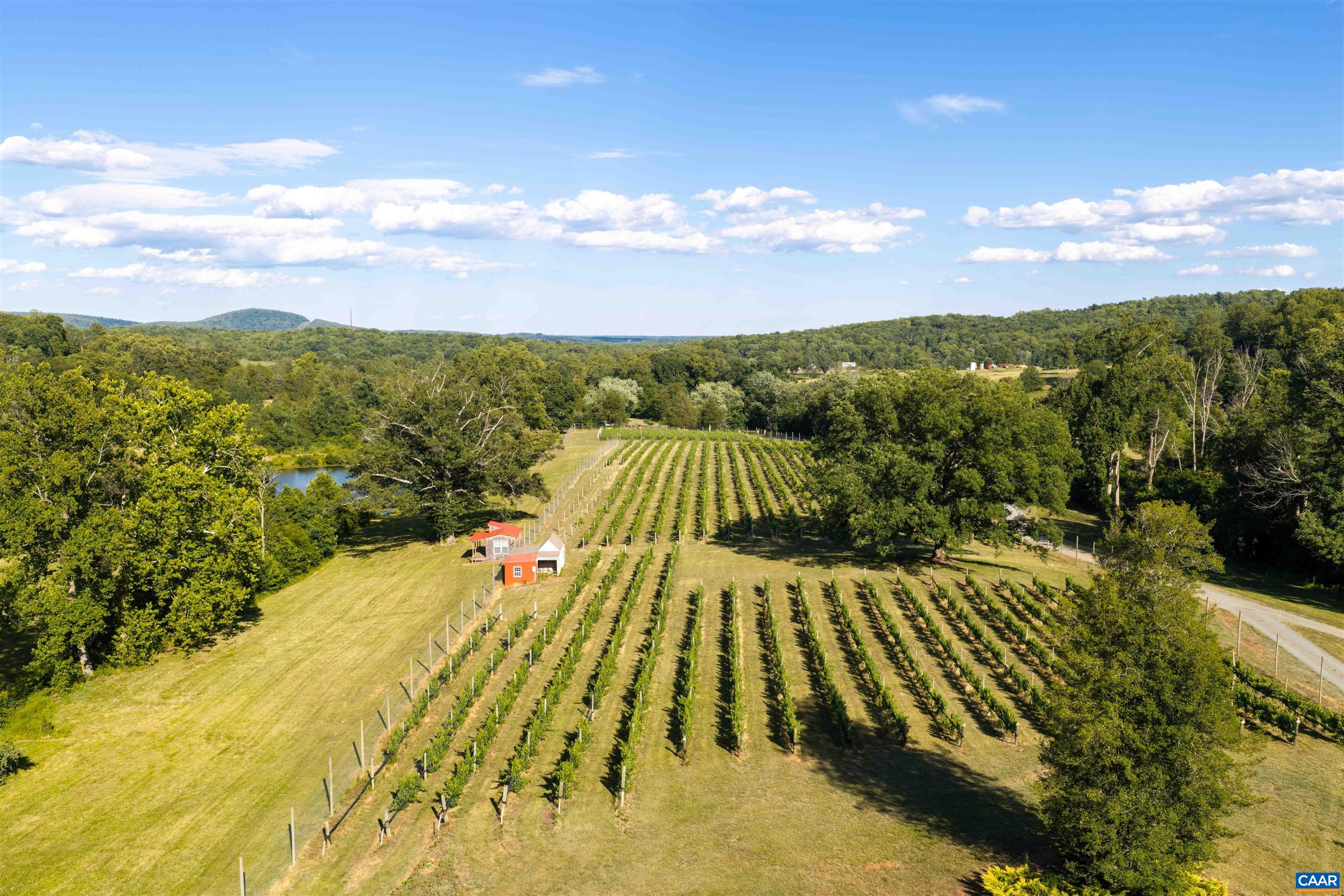 3613 WALNUT BRANCH LN, NORTH GARDEN, Virginia 22959, 1 Bedroom Bedrooms, ,1 BathroomBathrooms,Residential,formally Wisdom Oak Winery,3613 WALNUT BRANCH LN,678864 MLS # 678864
