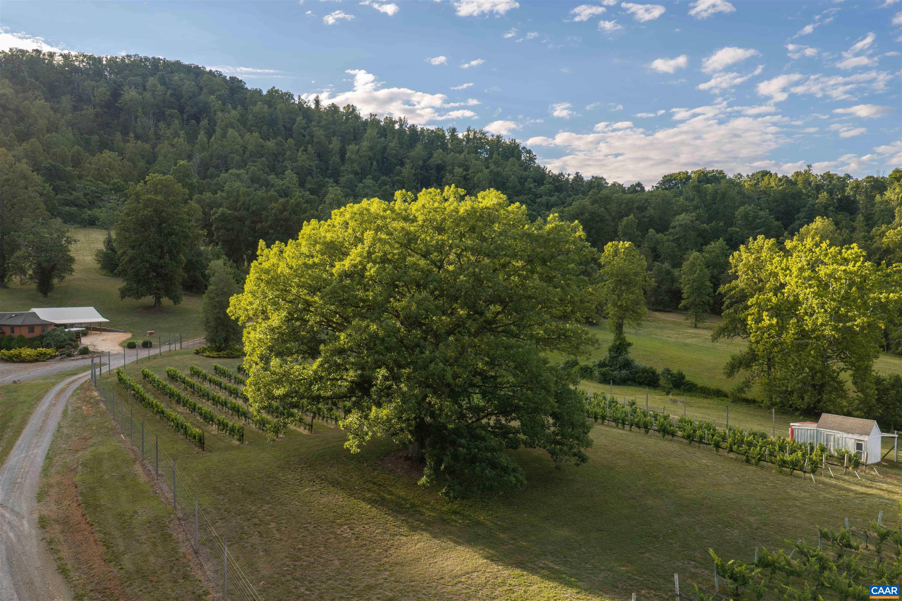 3613 WALNUT BRANCH LN, NORTH GARDEN, Virginia 22959, 1 Bedroom Bedrooms, ,1 BathroomBathrooms,Residential,formally Wisdom Oak Winery,3613 WALNUT BRANCH LN,678864 MLS # 678864