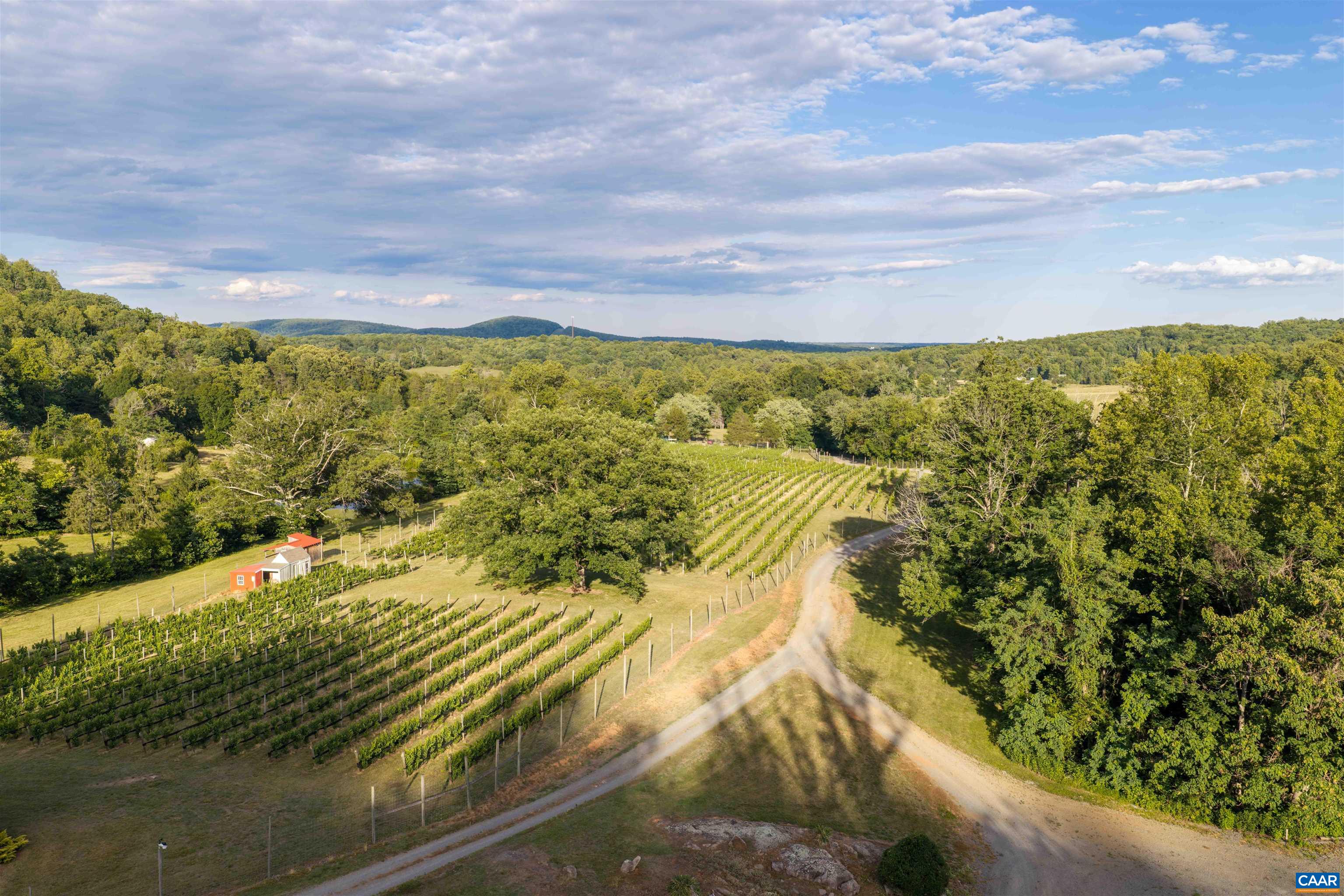 3613 WALNUT BRANCH LN, NORTH GARDEN, Virginia 22959, 1 Bedroom Bedrooms, ,1 BathroomBathrooms,Residential,formally Wisdom Oak Winery,3613 WALNUT BRANCH LN,678864 MLS # 678864