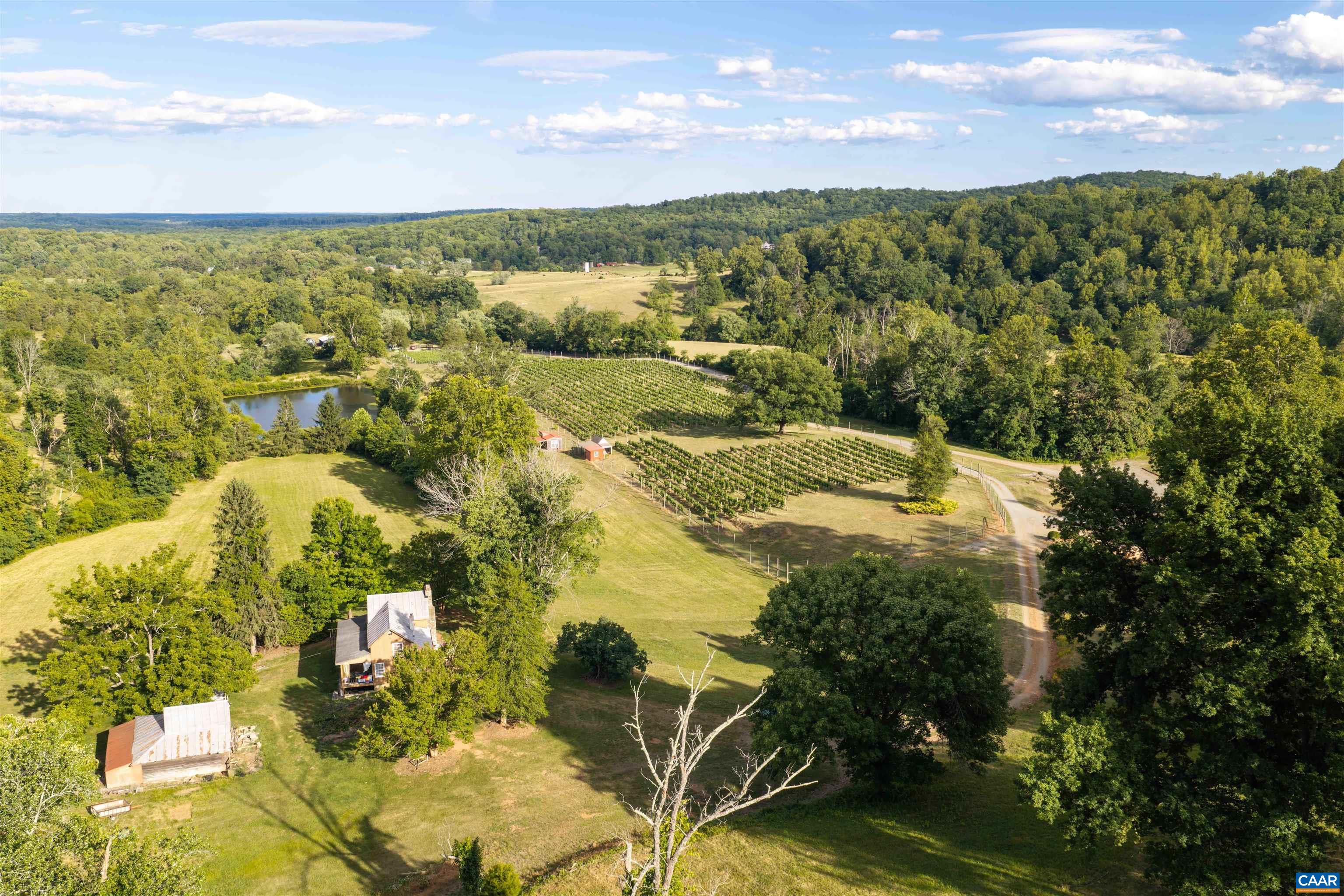3613 WALNUT BRANCH LN, NORTH GARDEN, Virginia 22959, 1 Bedroom Bedrooms, ,1 BathroomBathrooms,Residential,formally Wisdom Oak Winery,3613 WALNUT BRANCH LN,678864 MLS # 678864