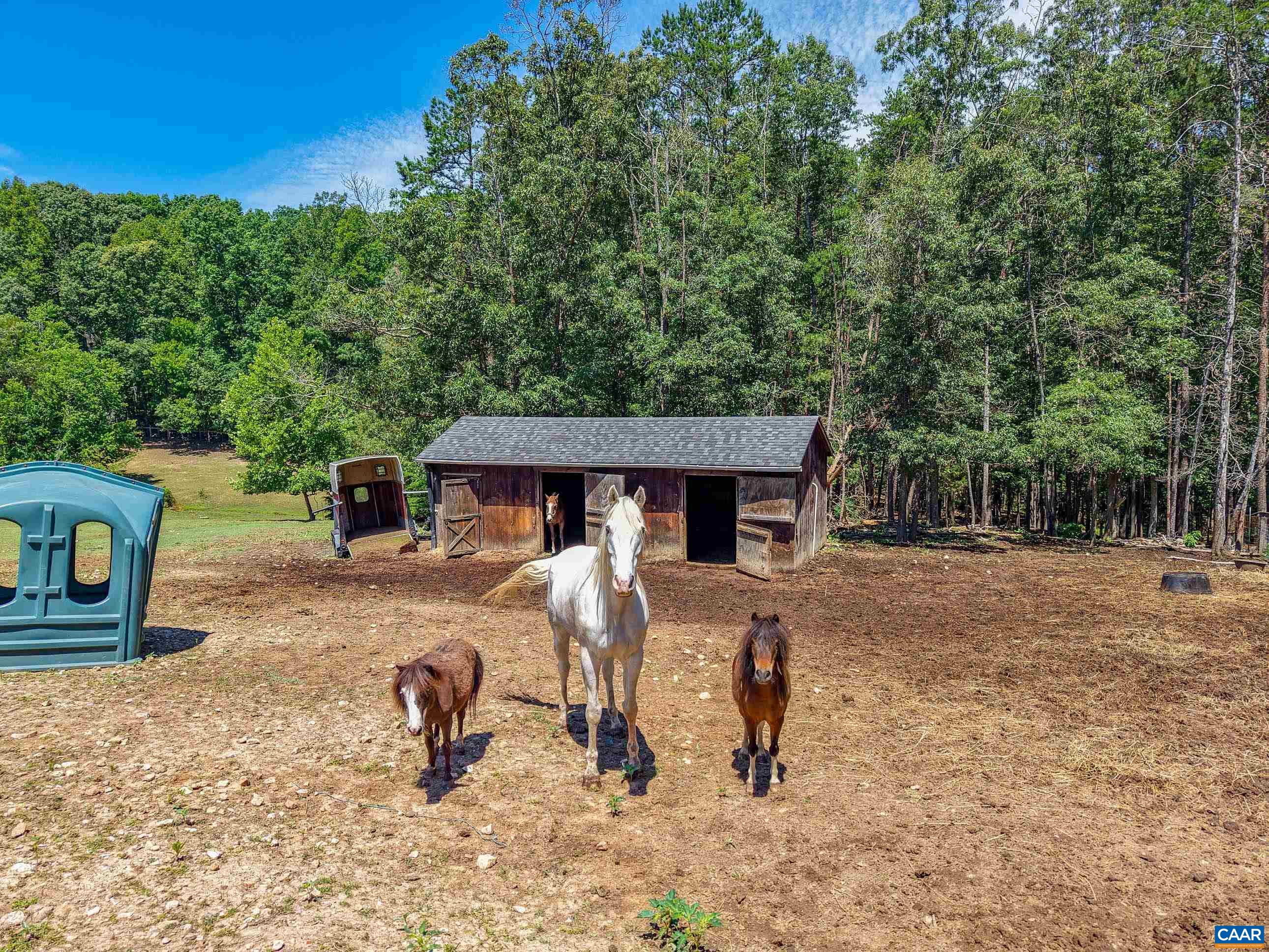 3002 BURNLEY STATION RD, BARBOURSVILLE, Virginia 22923, 4 Bedrooms Bedrooms, ,4 BathroomsBathrooms,Residential,Baker Farm,3002 BURNLEY STATION RD,678876 MLS # 678876
