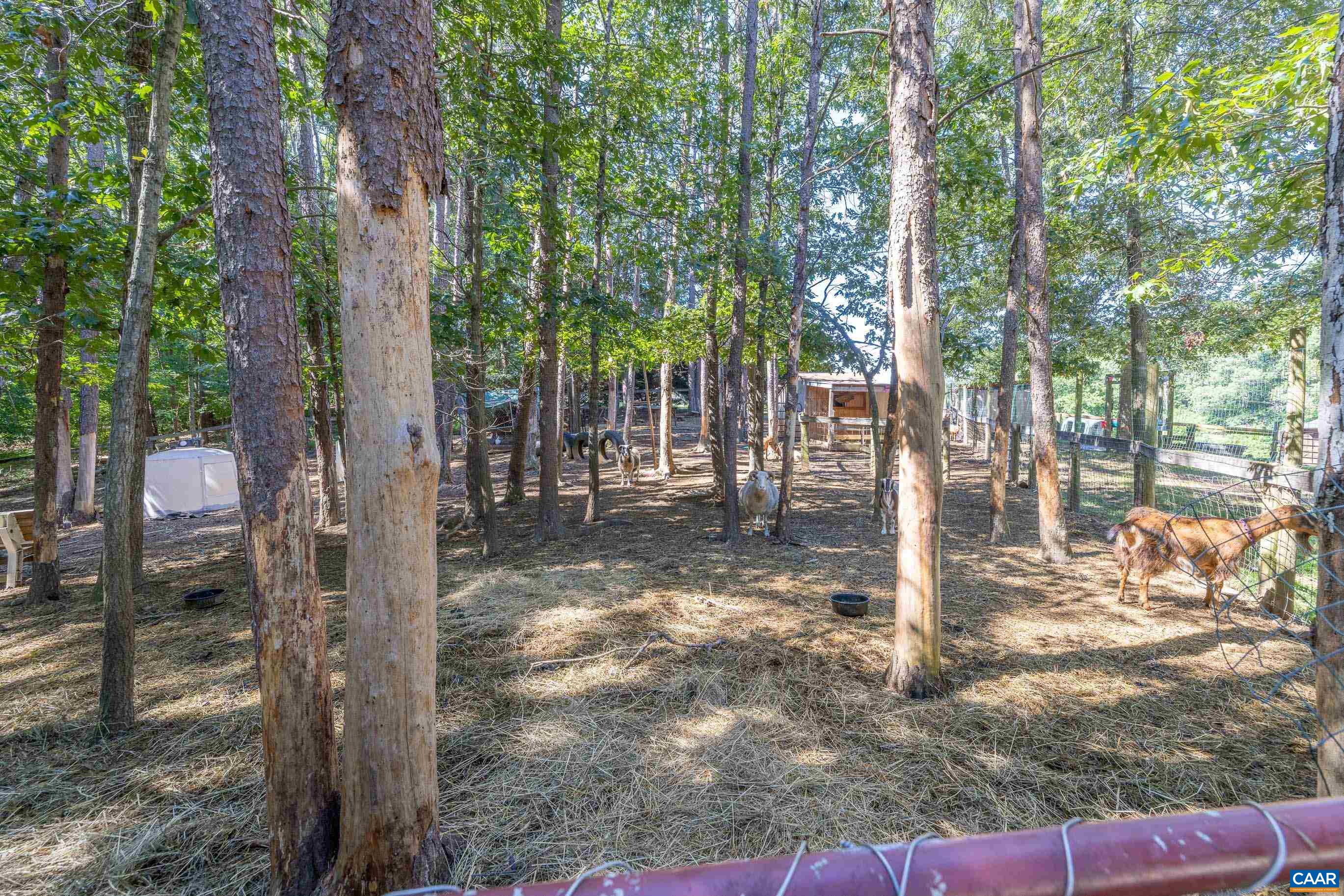3002 BURNLEY STATION RD, BARBOURSVILLE, Virginia 22923, 4 Bedrooms Bedrooms, ,4 BathroomsBathrooms,Residential,Baker Farm,3002 BURNLEY STATION RD,678876 MLS # 678876