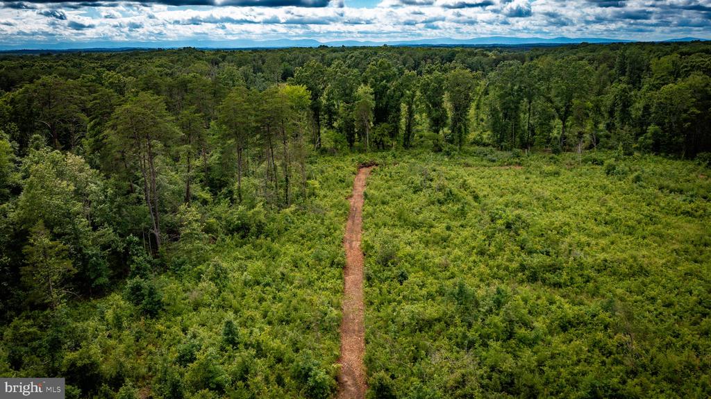 RITCHIE RD, MIDLAND, Virginia 22728, ,Land,RITCHIE RD,VAFQ2022610 MLS # VAFQ2022610
