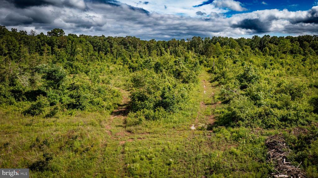RITCHIE RD, MIDLAND, Virginia 22728, ,Land,RITCHIE RD,VAFQ2022610 MLS # VAFQ2022610