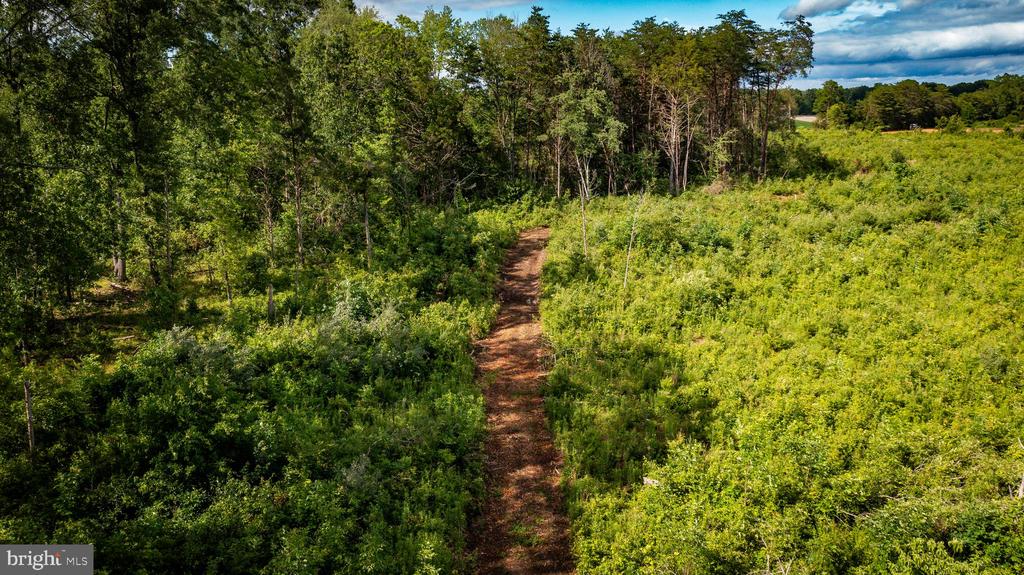 RITCHIE RD, MIDLAND, Virginia 22728, ,Land,RITCHIE RD,VAFQ2022610 MLS # VAFQ2022610