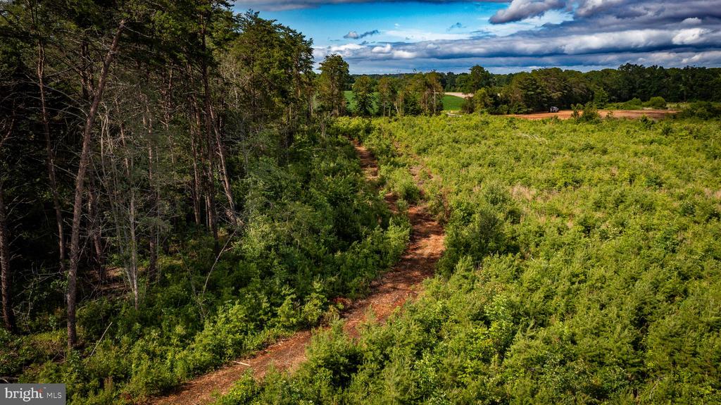 RITCHIE RD, MIDLAND, Virginia 22728, ,Land,RITCHIE RD,VAFQ2022610 MLS # VAFQ2022610