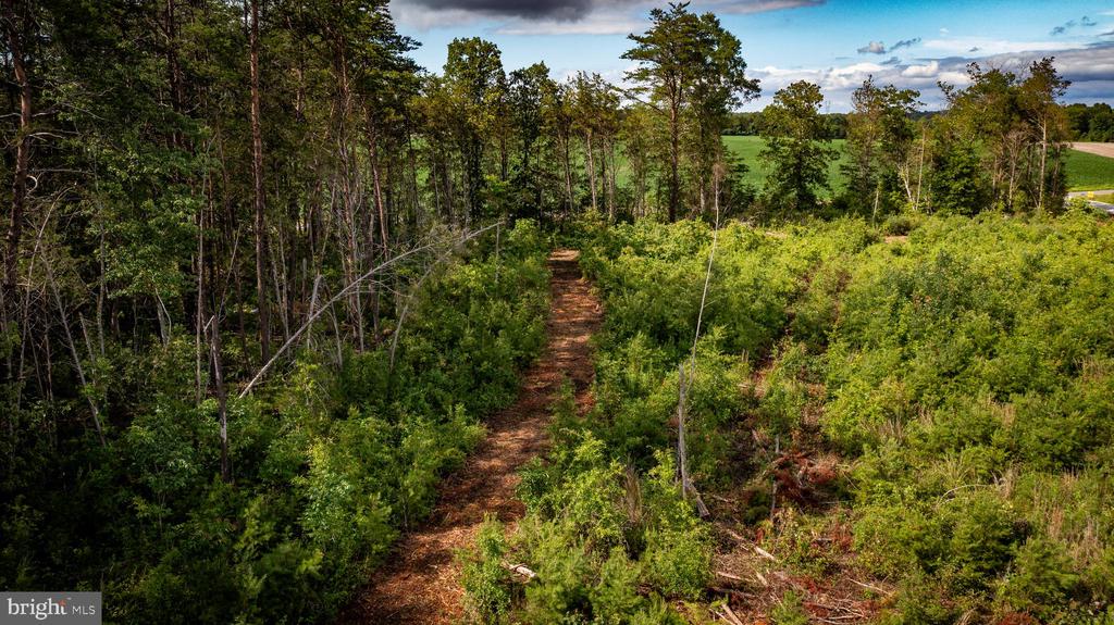 RITCHIE RD, MIDLAND, Virginia 22728, ,Land,RITCHIE RD,VAFQ2022610 MLS # VAFQ2022610