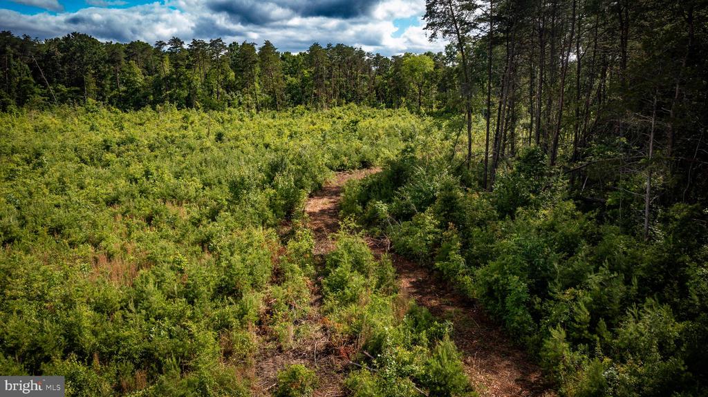 RITCHIE RD, MIDLAND, Virginia 22728, ,Land,RITCHIE RD,VAFQ2022610 MLS # VAFQ2022610