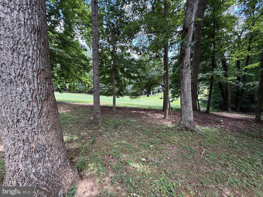 421 BIRDIE RD, LOCUST GROVE, Virginia 22508, 4 Bedrooms Bedrooms, ,2 BathroomsBathrooms,Residential,421 BIRDIE RD,VAOR2014550 MLS # VAOR2014550
