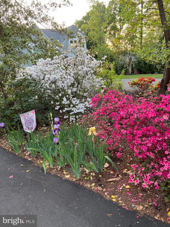 314 BIRCHSIDE CIR, LOCUST GROVE, Virginia 22508, 4 Bedrooms Bedrooms, ,3 BathroomsBathrooms,Residential,314 BIRCHSIDE CIR,VAOR2014562 MLS # VAOR2014562