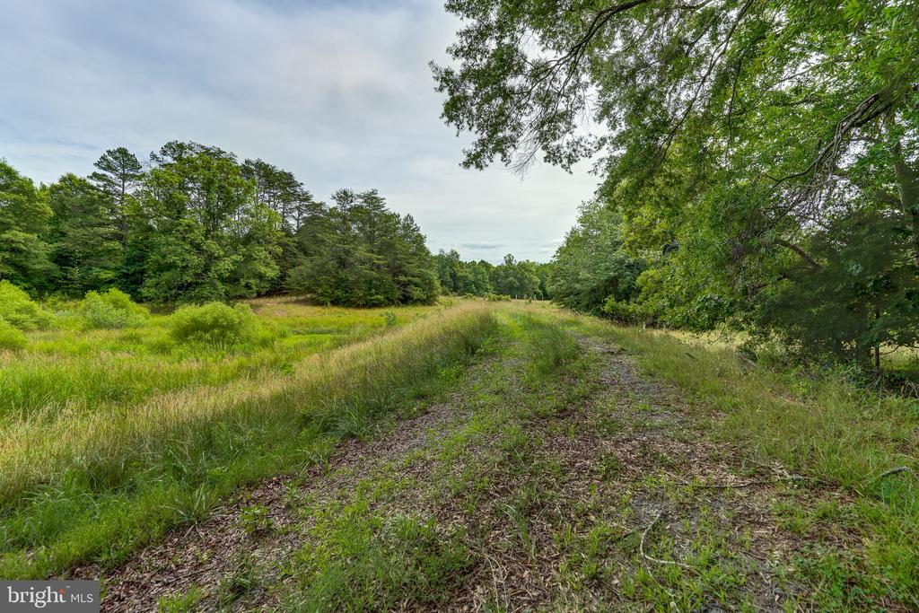 8858 POINDEXTER RD, LOUISA, Virginia 23093, 3 Bedrooms Bedrooms, ,3 BathroomsBathrooms,Residential,8858 POINDEXTER RD,VALA2010124 MLS # VALA2010124