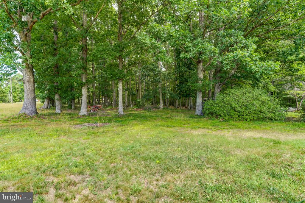 8858 POINDEXTER RD, LOUISA, Virginia 23093, 3 Bedrooms Bedrooms, ,3 BathroomsBathrooms,Residential,8858 POINDEXTER RD,VALA2010124 MLS # VALA2010124